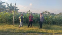 Polri Hadir di Tengah Petani, Polsubsektor Kanigaran Perkuat Sinergi Ketahanan Pangan Polri Hadir di Tengah Petani, Polsubsektor Kanigaran Perkuat Sinergi Ketahanan Pangan