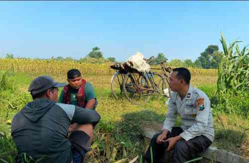 Polsek Wonoasih Perkuat Ketahanan Pangan Nasional, Binmas Serap Aspirasi Petani di Pakistaji Polsek Wonoasih Perkuat Ketahanan Pangan Nasional, Binmas Serap Aspirasi Petani di Pakistaji