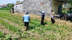 Kapolsubsektor Kanigaran: Polri Siap Dampingi Petani Demi Suksesnya Ketahanan Pangan Nasional