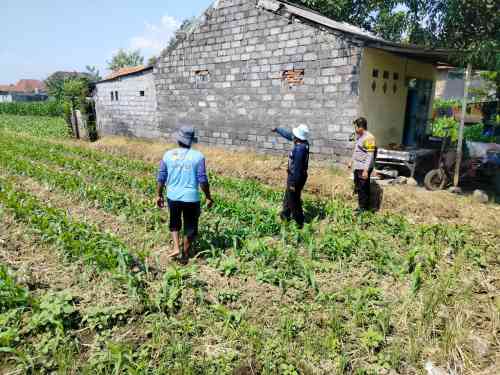 Kapolsubsektor Kanigaran: Polri Siap Dampingi Petani Demi Suksesnya Ketahanan Pangan Nasional Kapolsubsektor Kanigaran: Polri Siap Dampingi Petani Demi Suksesnya Ketahanan Pangan Nasional