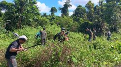 Babinsa Koramil Mapurujaya Bersama Warga Bersihkan TPU Kampung Hiripau
