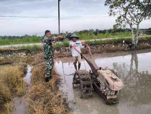 Lebih Dekat, Babinsa Saloloang Komsos Dengan Petani di Sawah