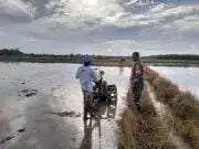 Lebih Dekat, Babinsa Saloloang Komsos Dengan Petani di Sawah