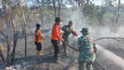 Sinergitas Dengan Gerak Cepat Kodim 0913/PPU dan Polres Bantu Tim Padamkan Kebakaran Lahan