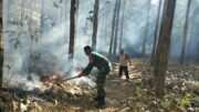 Tanggap Pancaroba, Babinsa Koramil Sutojayan Bersama Warga Padamkan Karhutla Di Gunung Sumber