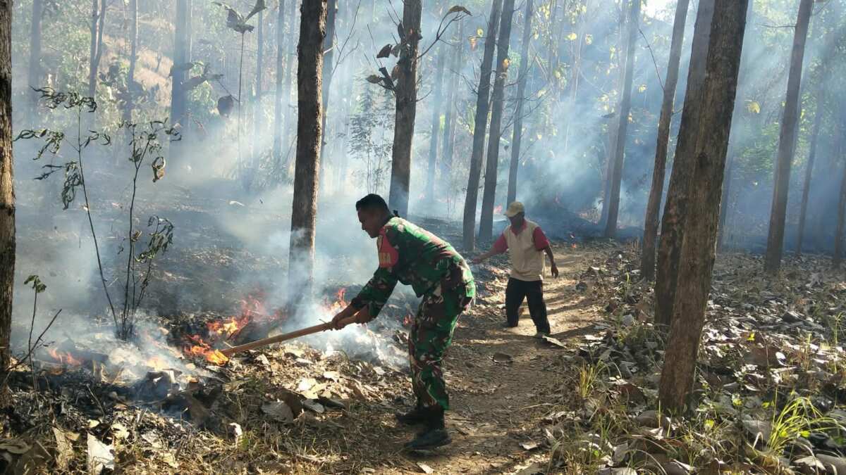 Tanggap Pancaroba, Babinsa Koramil Sutojayan Bersama Warga Padamkan Karhutla Di Gunung Sumber Tanggap Pancaroba, Babinsa Koramil Sutojayan Bersama Warga Padamkan Karhutla Di Gunung Sumber