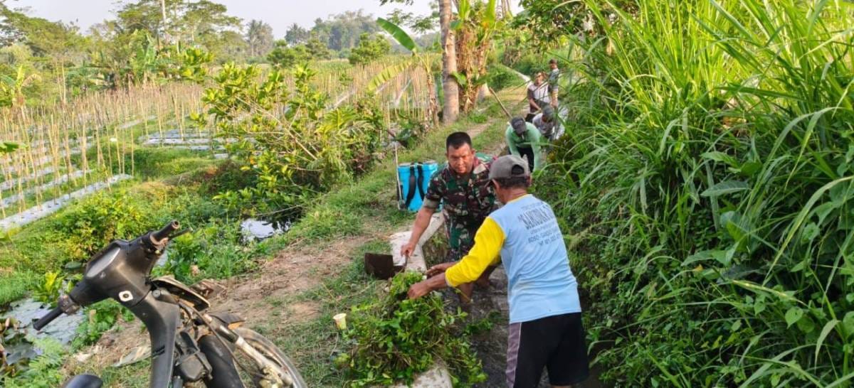Dukung Ketahanan Pangan, Serda Nurhatib Dampingi Poktan Margo Rukun III Bersihkan Irigasi Sawah