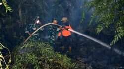Api Belum Usai Perjuangan Berlanjut, Satgas Irigasi Lanud Sjamsudin Noor Terus Perkuat Upaya Padamkan Karhutla Kalsel Optimalkan Air Hingga Dinginkan Lahan Gambut