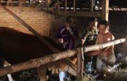 Melampaui Target: TMMD 129 Bojonegoro dan Disnakkan Sentuh Nadi Ekonomi Warga Lewat Layanan Kesehatan Hewan