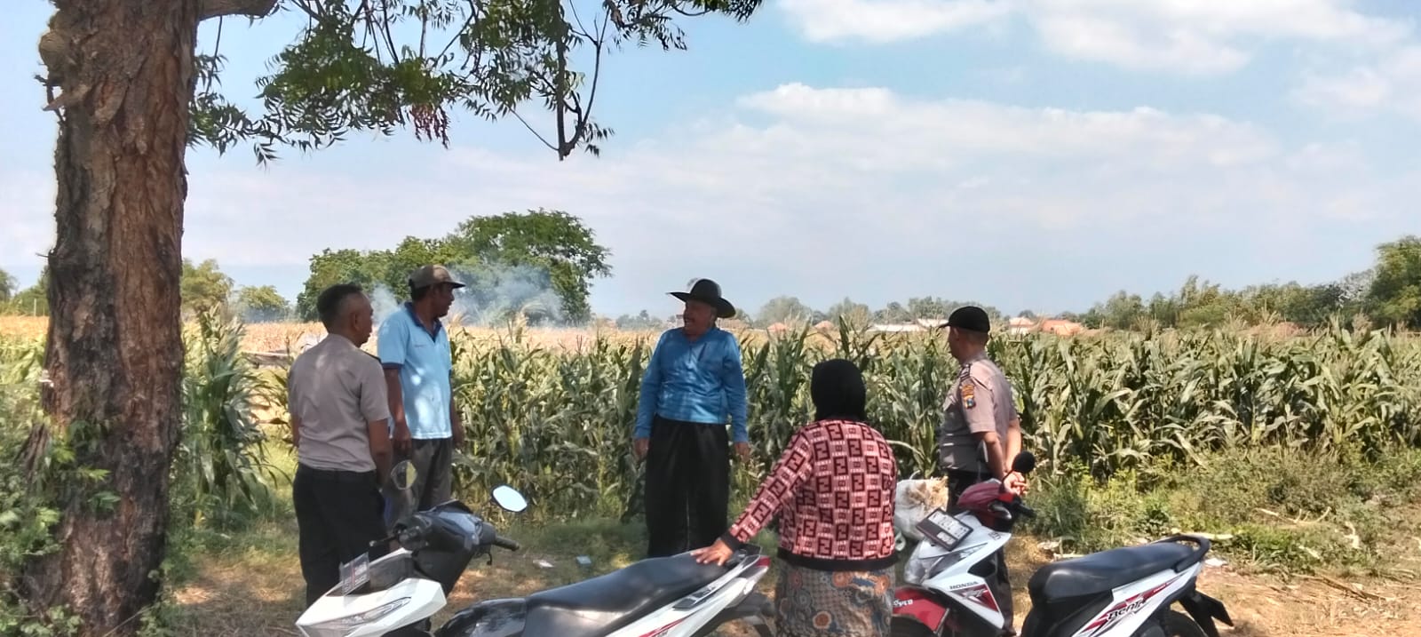 Polsek Sumberasih Aktif Pantau Lahan Jagung Binaan