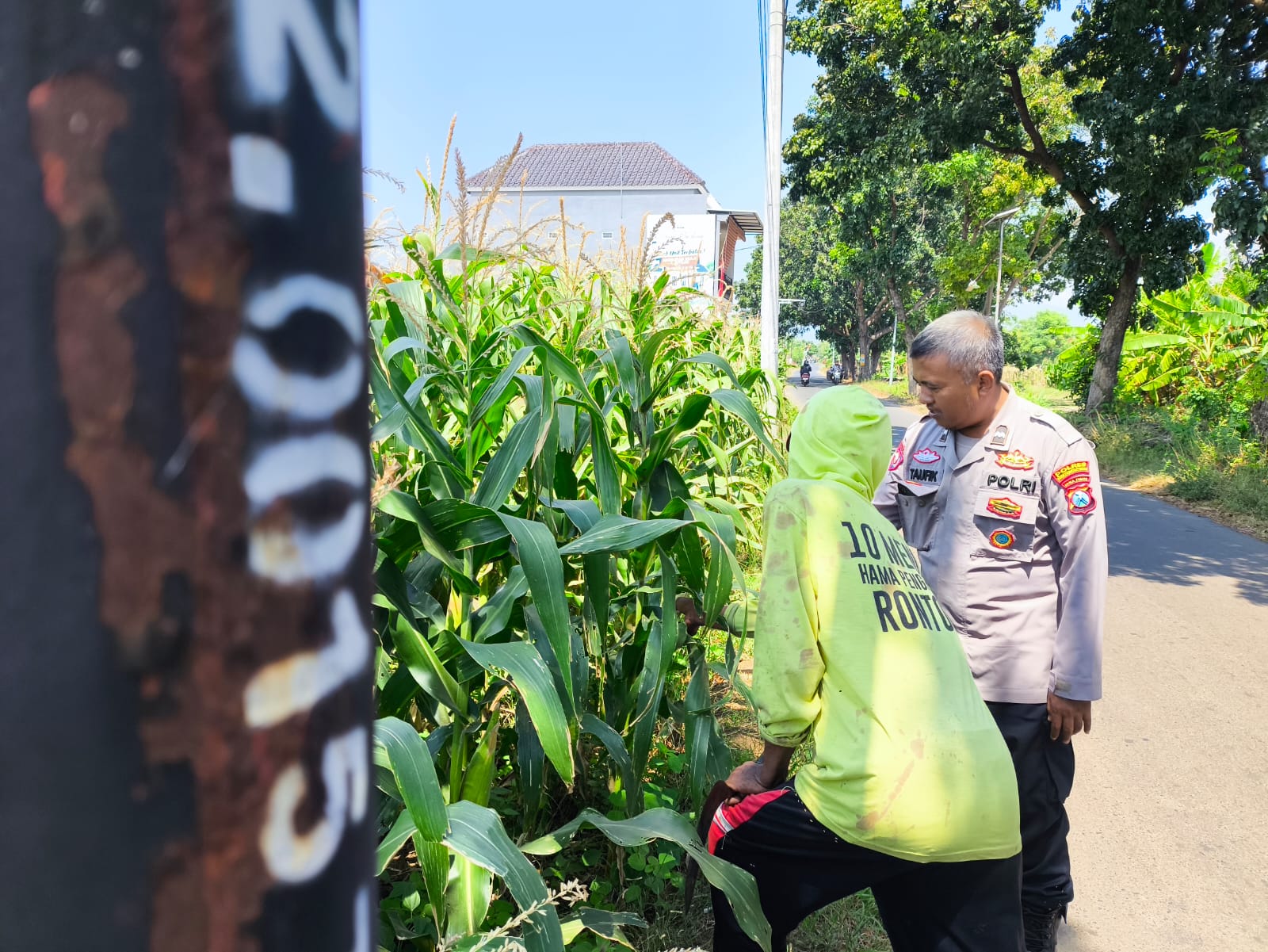 Tak Sekadar Jaga Kamtibmas, Polisi Ikut Kawal Lahan Jagung di Kedopok Tak Sekadar Jaga Kamtibmas, Polisi Ikut Kawal Lahan Jagung di Kedopok