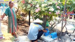 TMMD 129 Bojonegoro Sukses Alirkan Air Bersih, Warga Bekatul Ucapkan Terima Kasih TMMD 129 Bojonegoro Sukses Alirkan Air Bersih, Warga Bekatul Ucapkan Terima Kasih