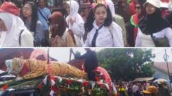 Karnaval HUT RI Ke-81, Warga Palasah Kertajati Tampilkan Keunggulan Berbeda