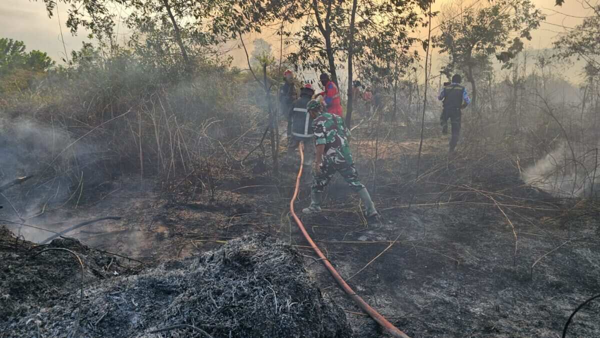 Gerak Cepat Babinsa Koramil 0908-02/Muara Badak Bersama Damkar, Karhutla di Desa Tanjung Limau Berhasil Dipadamkan