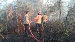 Babinsa Koramil 01/Penajam Bersama Petugas Pemadam Kebakaran dan Warga Berhasil Padamkan Si Jago Merah