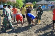 TMMD Ke-129 Tak Hanya Membangun, Tapi Juga Menanam Harapan Melalui Ketahanan Pangan