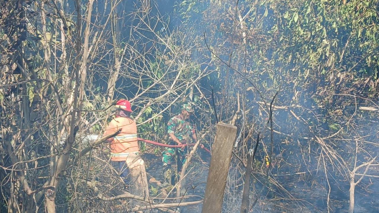 Tak Tunggu Api Membesar, Babinsa Koramil Penajam dan Tim Gabungan Padamkan Karhutla