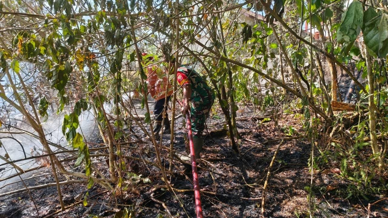 Tak Tunggu Api Membesar, Babinsa Koramil Penajam dan Tim Gabungan Padamkan Karhutla