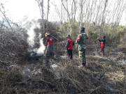 Aksi Babinsa Koramil 01/Penajam Pasca Kebakaran Lahan dan Hutan Di Sepan