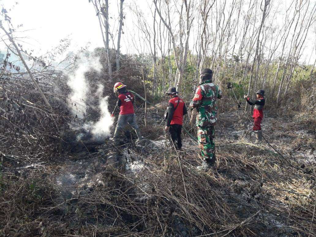 Aksi Babinsa Koramil 01/Penajam Pasca Kebakaran Lahan dan Hutan Di Sepan Aksi Babinsa Koramil 01/Penajam Pasca Kebakaran Lahan dan Hutan Di Sepan
