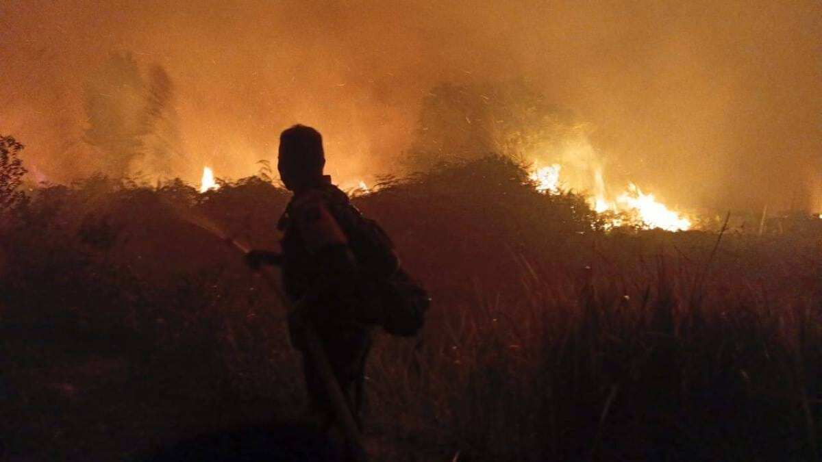 TNI Kerahkan 14.167 Personel Tangani Karhutla di Sejumlah Wilayah TNI Kerahkan 14.167 Personel Tangani Karhutla di Sejumlah Wilayah