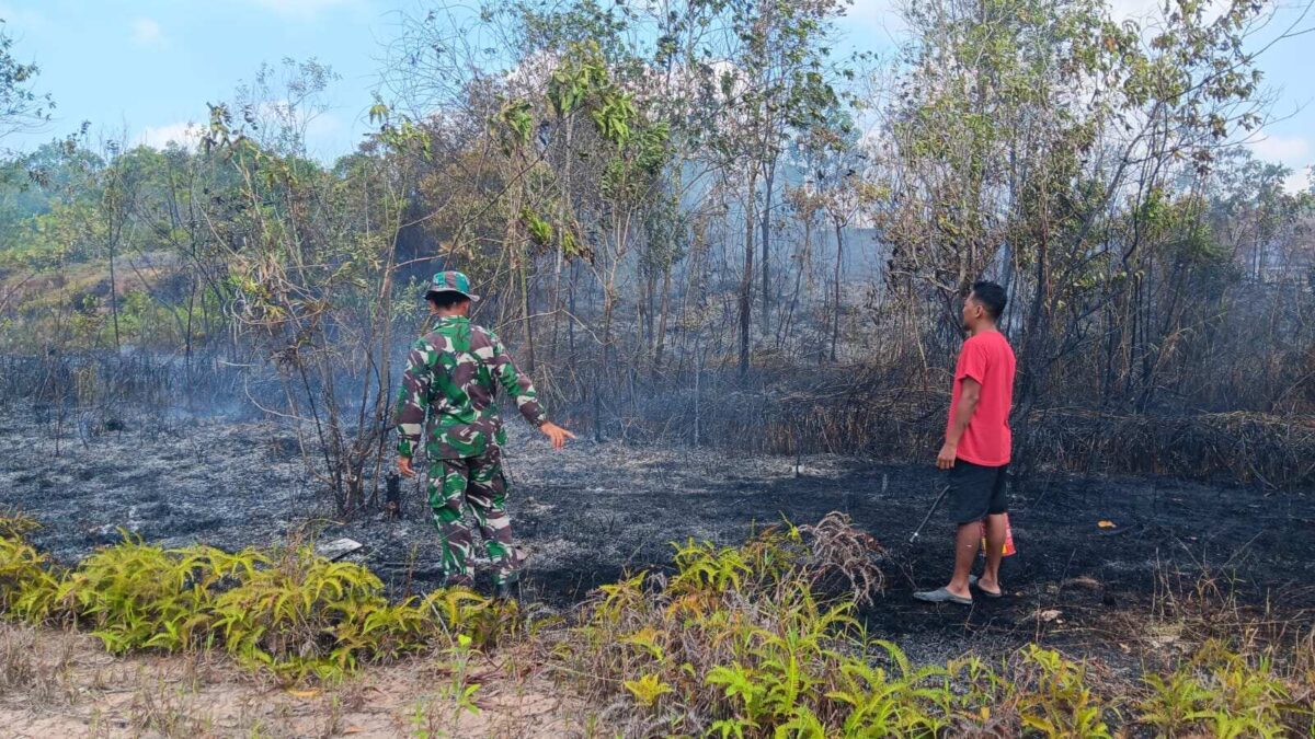 Babinsa Koramil 0908-01/Loktuan Bersama Damkar Bersinergi Padamkan Karhutla di Kelurahan Bontang Lestari Babinsa Koramil 0908-01/Loktuan Bersama Damkar Bersinergi Padamkan Karhutla di Kelurahan Bontang Lestari