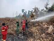 TNI Siagakan 73.766 Personel Tangani Karhutla di Berbagai Wilayah