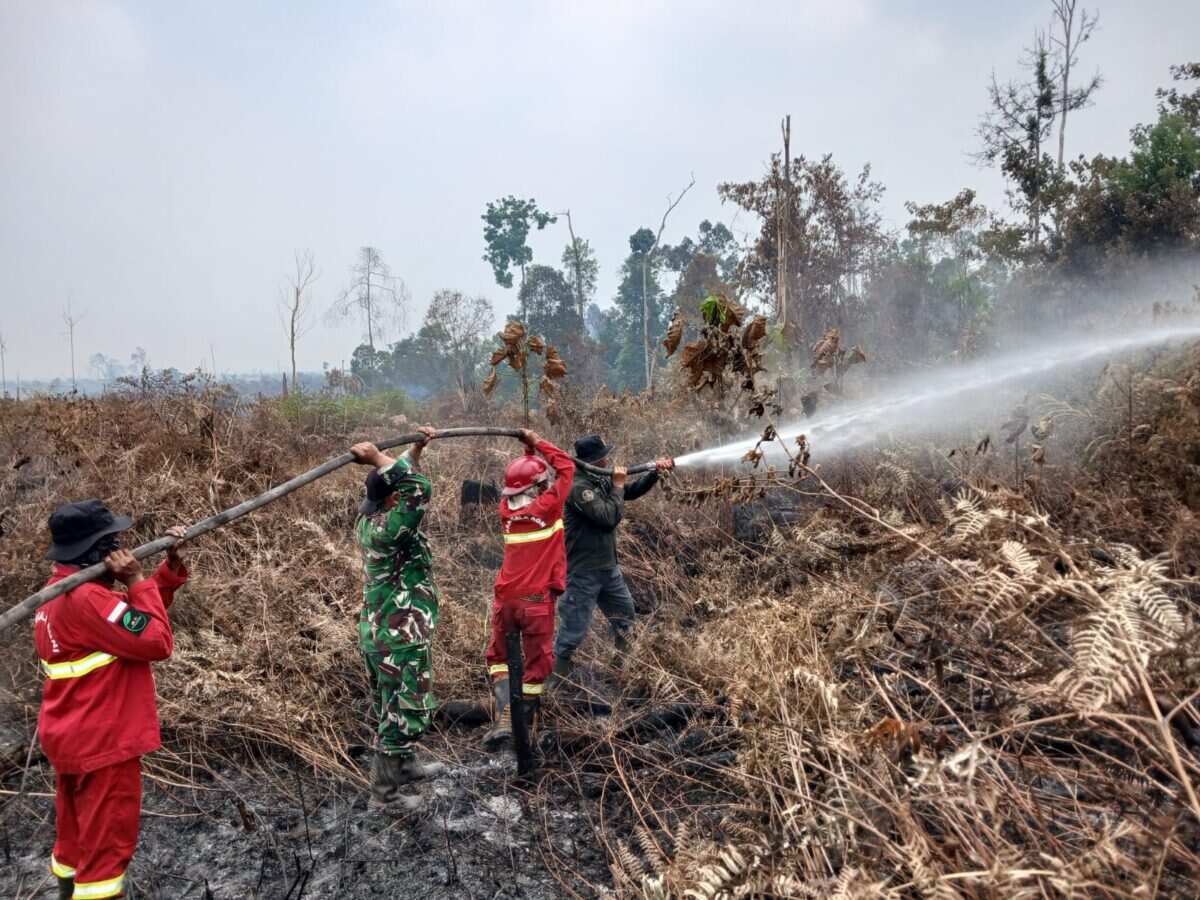 TNI Siagakan 73.766 Personel Tangani Karhutla di Berbagai Wilayah