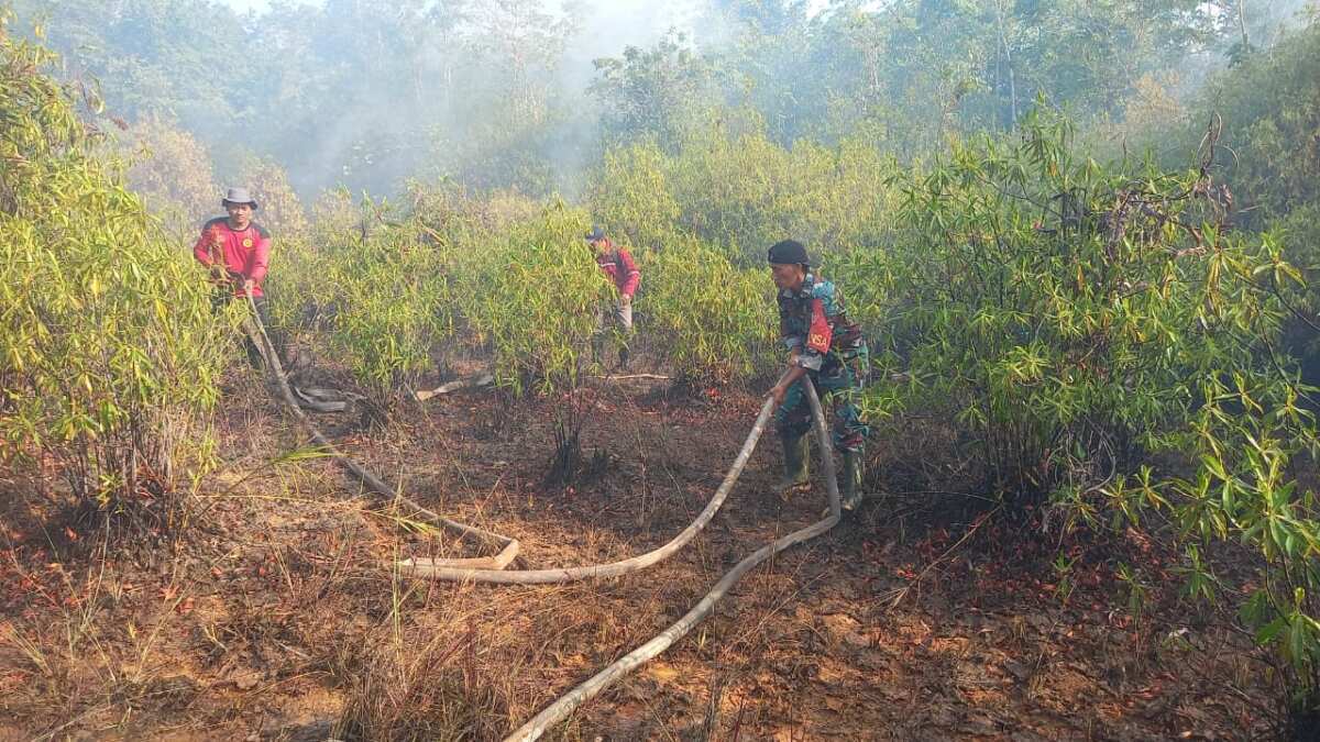 Kolaborasi TNI-Damkar dan Warga, Karhutla Berhasil Di Padamkan
