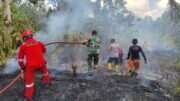 Cekatan……,Babinsa Koramil 01/Penajam Gerak Cepat Tanggani Kebakaran Lahan
