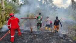 Cekatan……,Babinsa Koramil 01/Penajam Gerak Cepat Tanggani Kebakaran Lahan