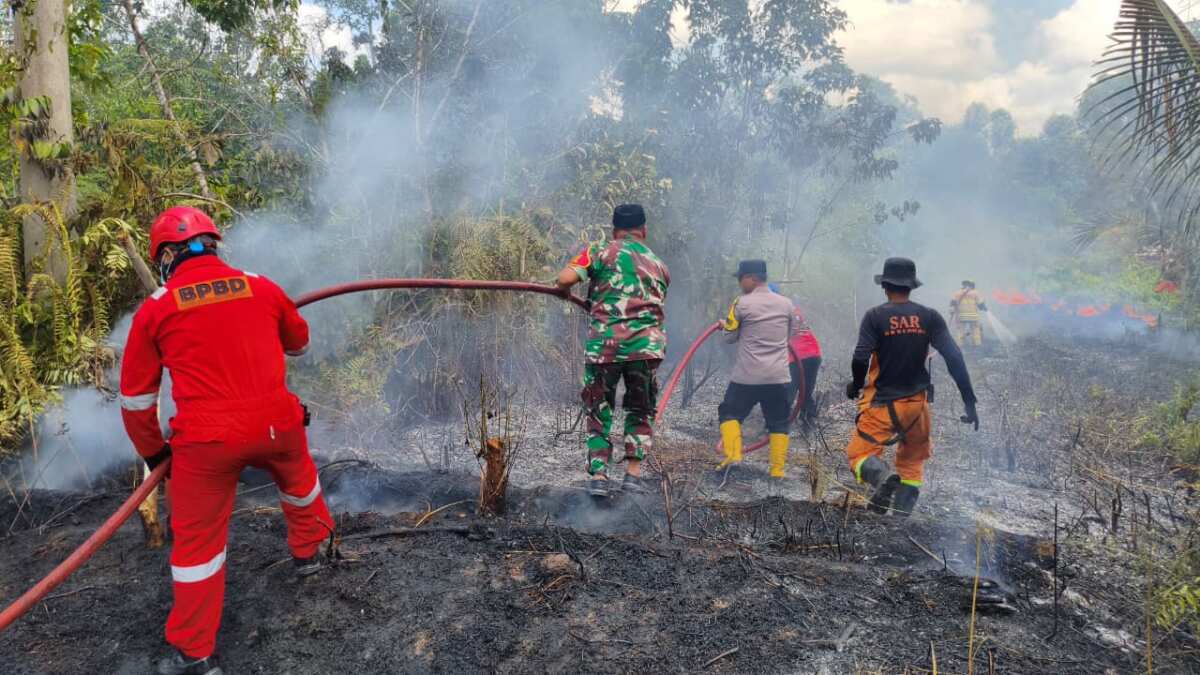 Cekatan……,Babinsa Koramil 01/Penajam Gerak Cepat Tanggani Kebakaran Lahan