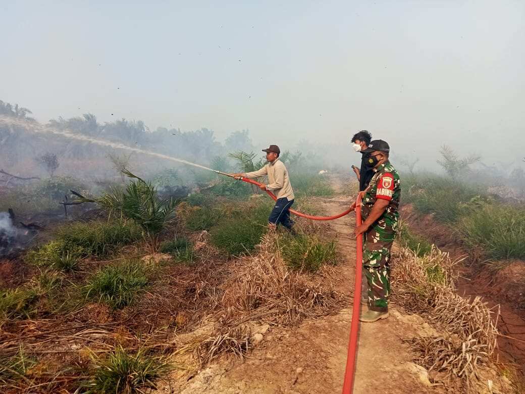 Babinsa Koramil 0908-04/Marangkayu Bersama Tim Gabungan Bergerak Cepat Padamkan Karhutla di Lahan Sawit