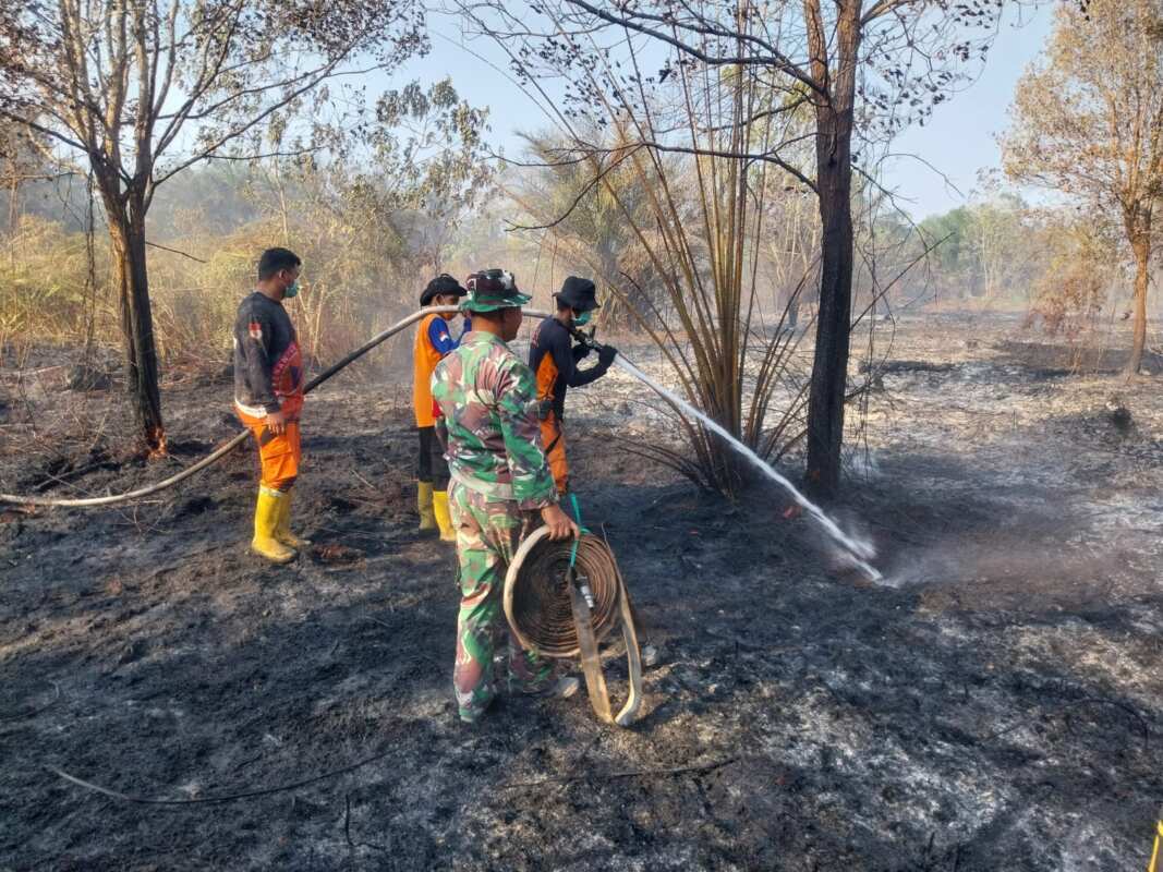 Sigap……,Personil Koramil 03/Babulu Gerak Cepat Tanggani Karhutla Sigap……,Personil Koramil 03/Babulu Gerak Cepat Tanggani Karhutla