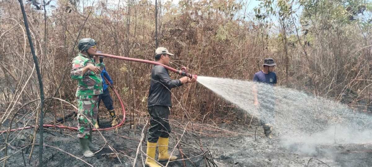 Gas Gas Gas …Babinsa Babulu Padamkan Kebakaran Lahan Gambut Gas Gas Gas …Babinsa Babulu Padamkan Kebakaran Lahan Gambut