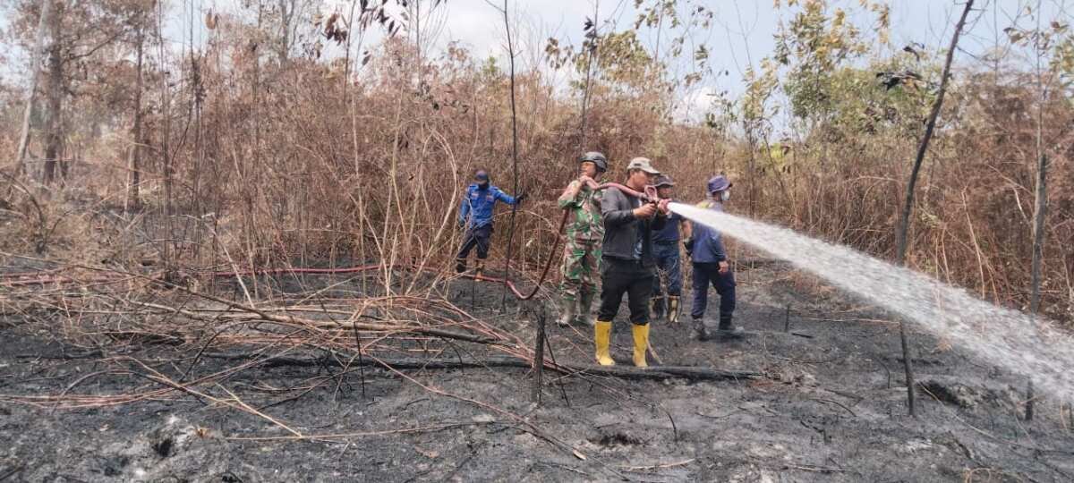 Gas Gas Gas …Babinsa Babulu Padamkan Kebakaran Lahan Gambut Gas Gas Gas …Babinsa Babulu Padamkan Kebakaran Lahan Gambut