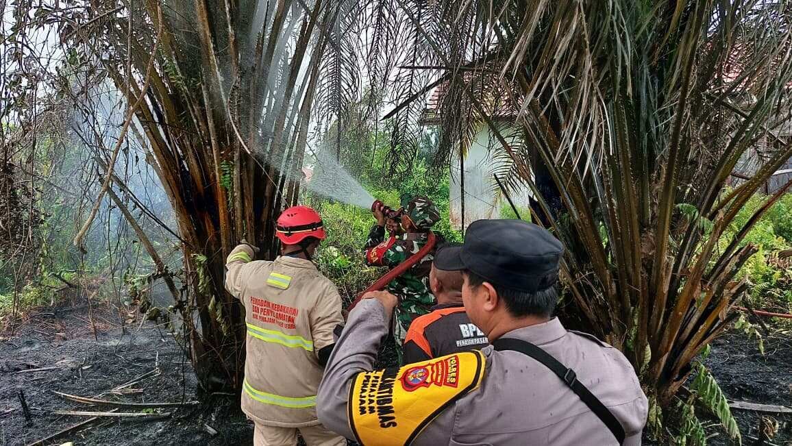 Cepat Tepat Padam, Babinsa Penajam Padamkan Kebakaran Semak Belukar Cepat Tepat Padam, Babinsa Penajam Padamkan Kebakaran Semak Belukar