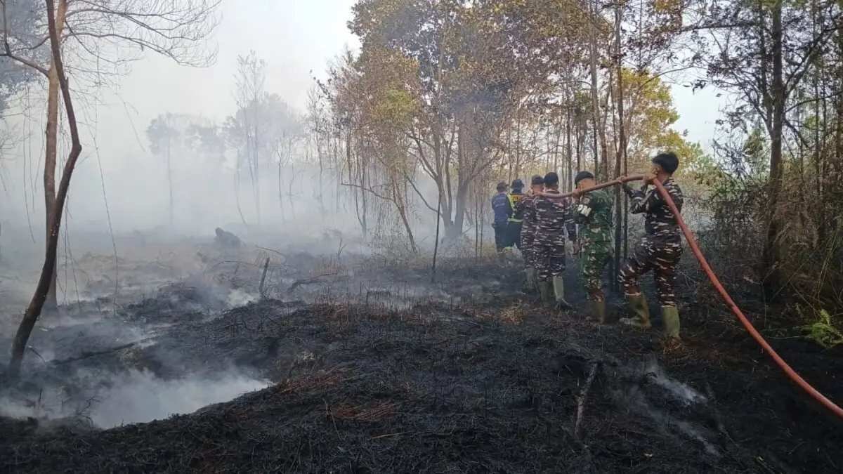 Tingginya Potensi Hujan di Riau dan Upaya Penanganan Karhutla