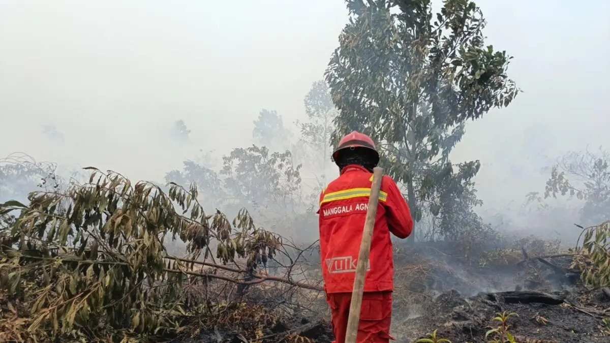 Prinsip Tanggung Jawab Mutlak dalam Karhutla Titik Panas Kebakaran Hutan Melonjak di Kalbar dan Kalteng