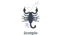 Peluang Keuangan Zodiak Scorpio pada 31 Agustus 2026