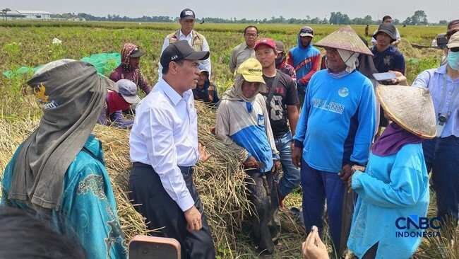 Dukungan untuk Buruh Tani: Kebijakan Baru dari Kementerian Pertanian Dukungan untuk Buruh Tani: Kebijakan Baru dari Kementerian Pertanian