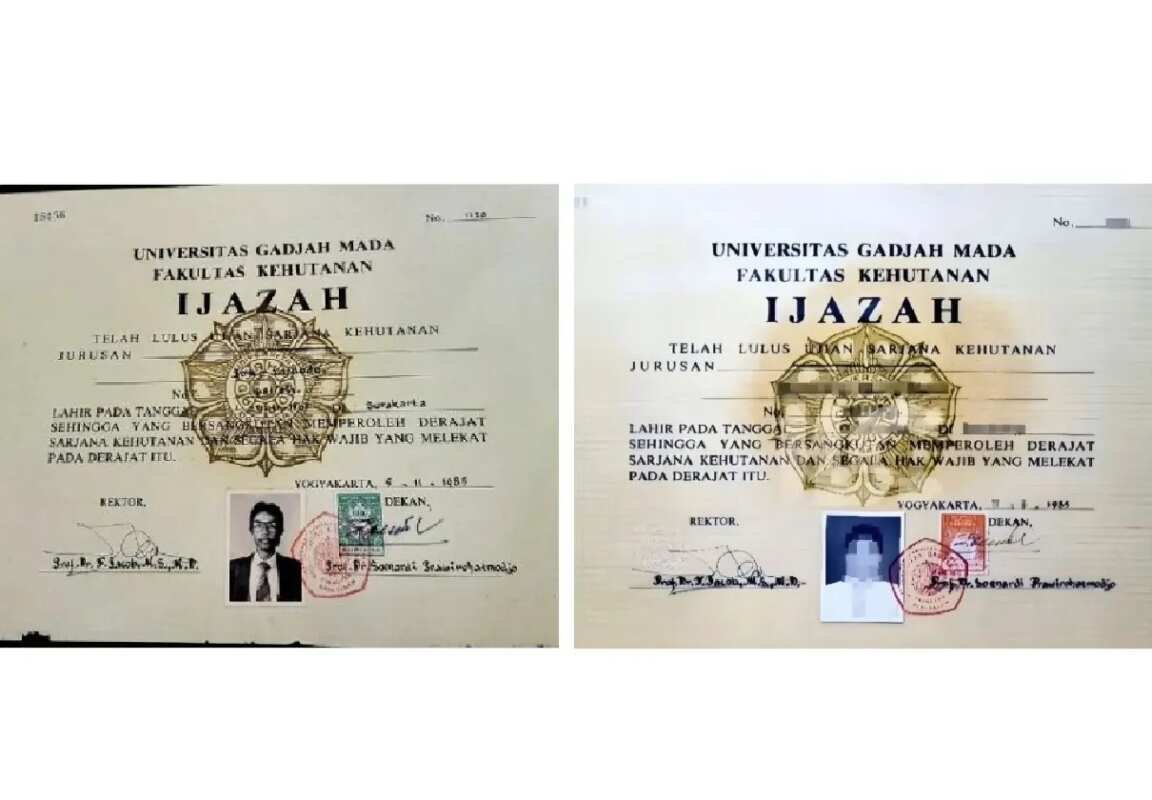 Fakta Keaslian Font Times New Roman dalam Skripsi Jokowi