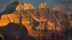 Hilangnya Lebih dari 20 Orang Usai Banjir Bandang di Grand Canyon