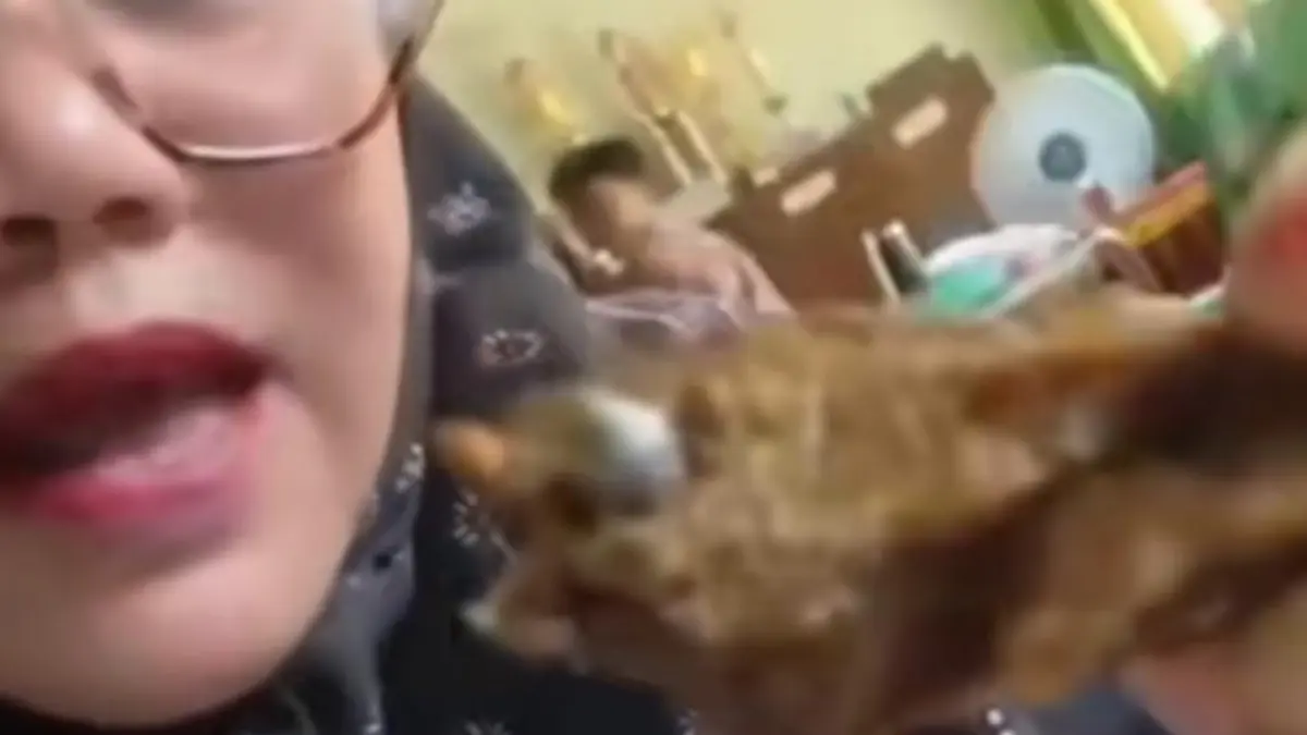 Penemuan Peluru Senapan Angin dalam Daging di Lampung Utara Penemuan Peluru Senapan Angin dalam Daging di Lampung Utara