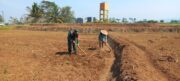 Dukung Ketahanan Pangan Nasional, Babinsa Selorejo Dampingi Petani Siapkan Lahan Tanam Jagung di Desa Boro