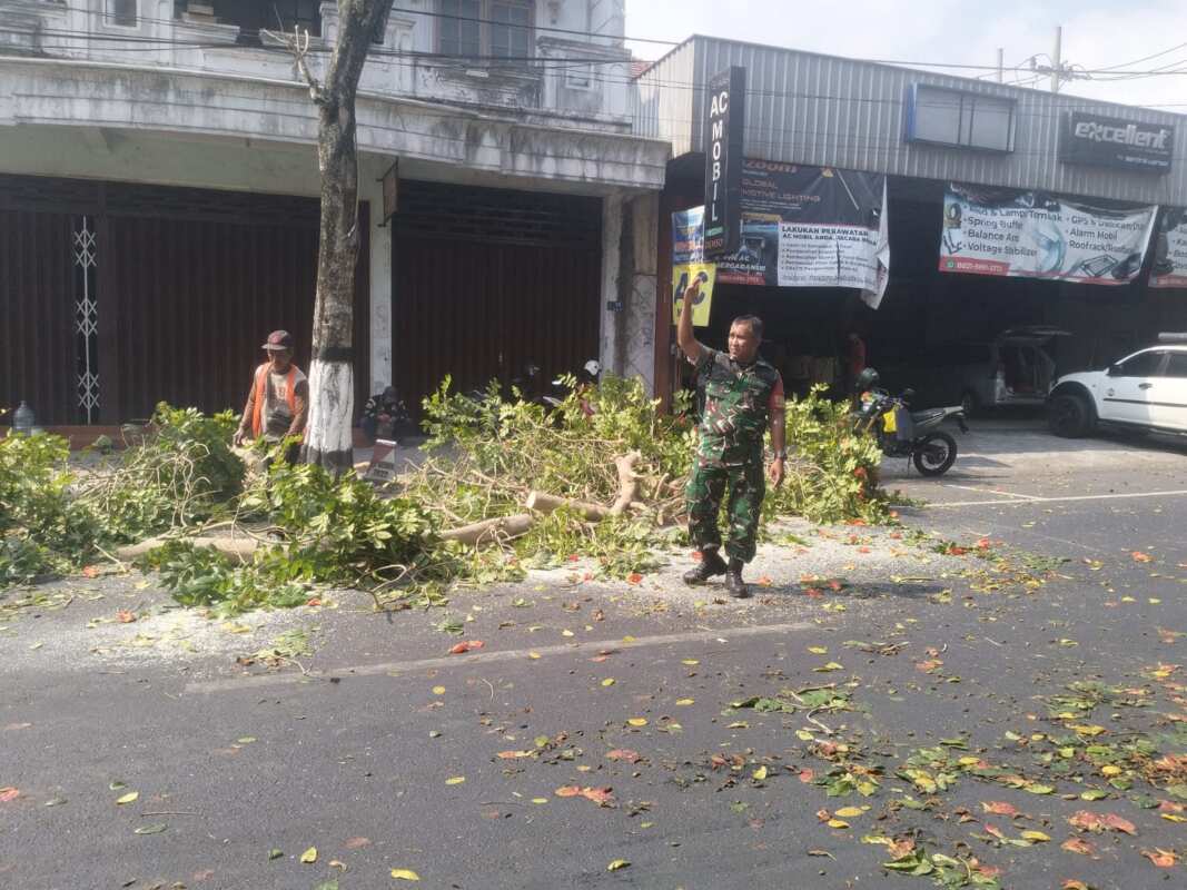 Antisipasi Pohon Tumbang Di Musim Pancaroba, Babinsa Sukorejo Bersinergi Dengan DLH Kota Blitar