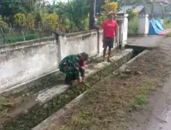 Wujud Kepedulian Lingkungan, Babinsa Koramil Udanawu Bersama Warga Gelar Karya Bakti Saluran Irigasi