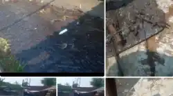 Beberapa Pabrik Aci Di Duga Cemari lingkungan Kotoran Serat Kawung Mengendap Di Balong Dan Saluran Irigasi