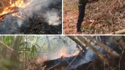 Dua Hektare Kebun Bambu di Cicalengka Terbakar, Petugas Gabungan dan Warga Cepat Padamkan Api