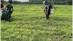 Tim Alpha TNI Siaga Tangani Karhutla di Sejumlah Wilayah Indonesia Tim Alpha TNI Siaga Tangani Karhutla di Sejumlah Wilayah Indonesia